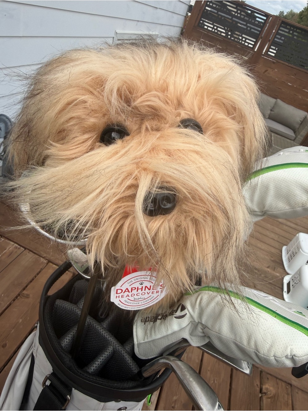 Daphnes headcovers - scruffy dog golf driver cover
